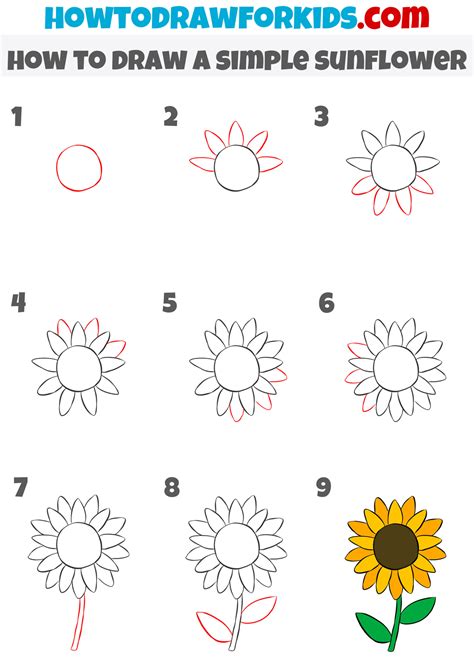 How to draw a sunflower easily .